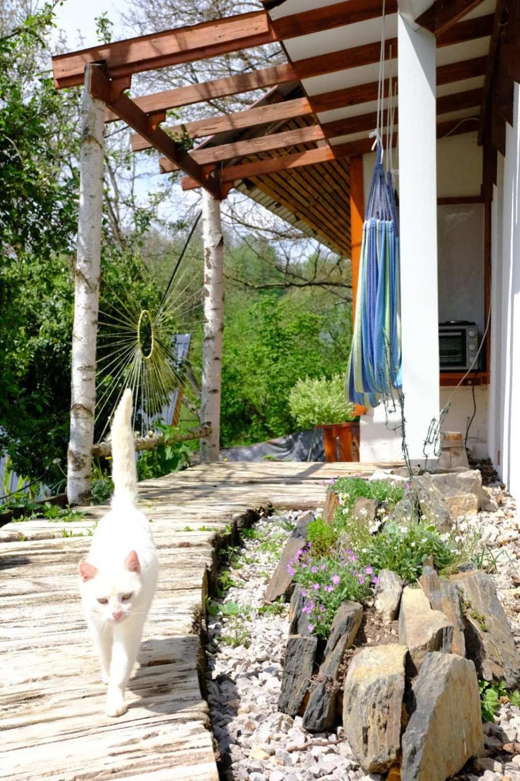 Kuca Za Odmor Lola * Ivanjica